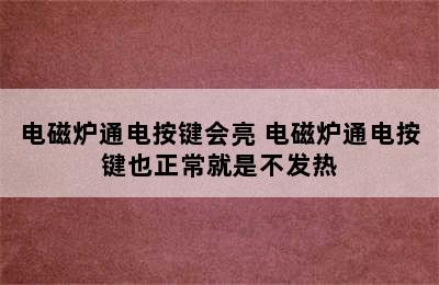 电磁炉通电按键会亮 电磁炉通电按键也正常就是不发热